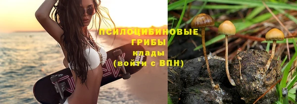 таблы Алзамай