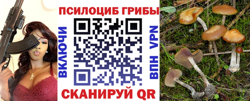 Псилоцибиновые грибы GOLDEN TEACHER Чадан