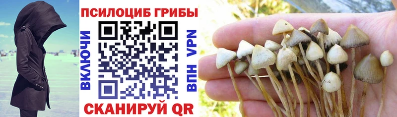 Галлюциногенные грибы мицелий blacksprut ссылка Чадан